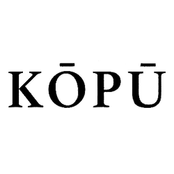 K_p_-logo