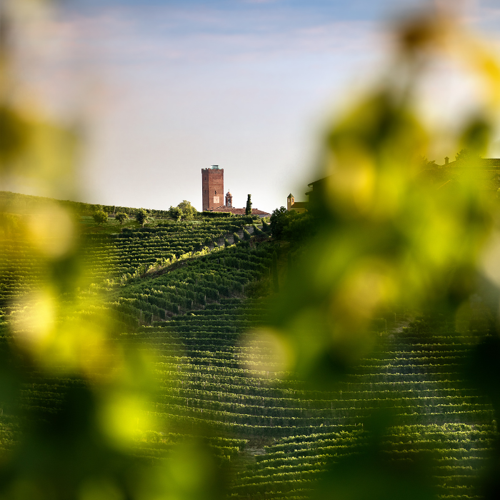 Produttori_del_Barbaresco_Masterclass_Wednesday_12th_August_2026_Sydney_6