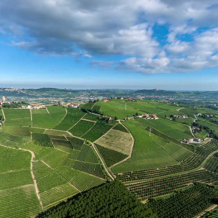 Produttori_del_Barbaresco_Masterclass_Wednesday_12th_August_2026_Sydney_6