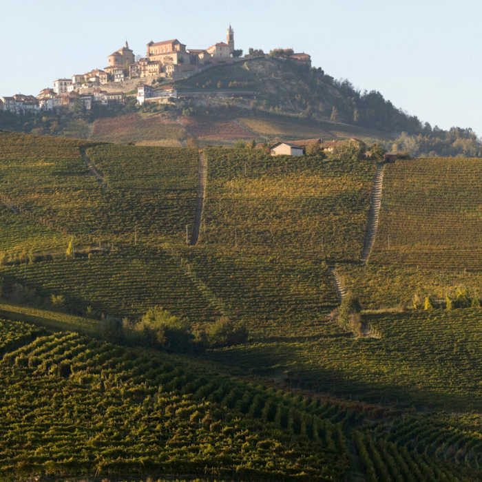 Vietti_Dinner_Wednesday_11th_March_2026_Sydney_6