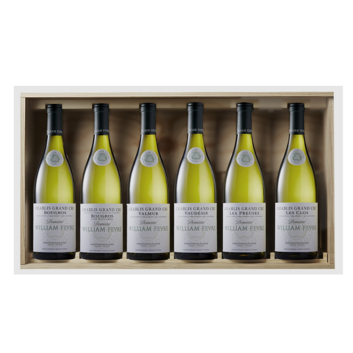 William_Fevre_Masterclass_Thursday_12th_2026_March_Sydney_6