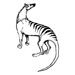 small-island-logo