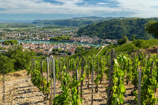 Rhône Rangers