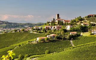 Produttori del Barbaresco: The Benchmark of Nebbiolo