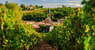 Week 2 of 4 Week France course // Beaujolais