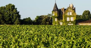 En Primeur report: Bordeaux 2021 and Burgundy 2020