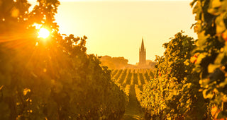 Bordeaux En Primeur Spotlight: Sauternes