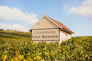 Champagne Masterclass Report