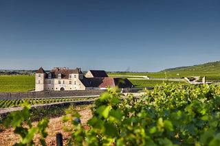 Introduction to Burgundy