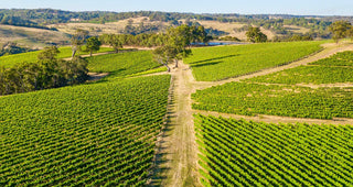 Uncorking The Mclaren Vale-the Land Of Many Vines And Many Wines