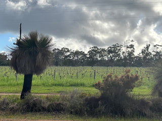 2023 Margaret River - A Defining Vintage for some