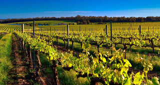 The Rise of Margaret River Cabernet Sauvignon