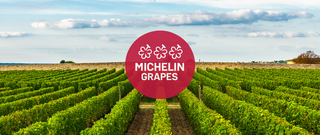 Michelin Grapes