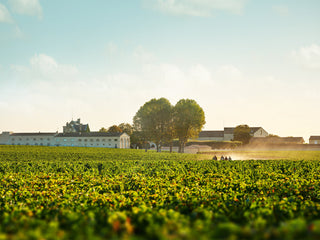 Bordeaux En Primeur Vintage 2025