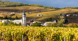 Week 3 of 4 Week France course // Rhone Valley