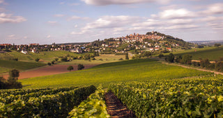 Week 4 of 4 Week France course // Sancerre