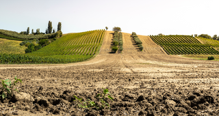 Terroir - From Land to the Sky