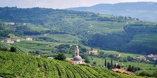 Don't forget Valpolicella
