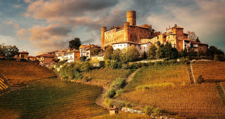 Region in Focus: Barolo