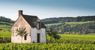 Burgundy 2021 En Primeur