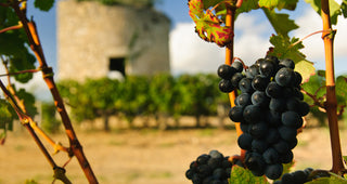 Bordeaux En Primeur Spotlight: Haut-Médoc