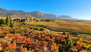 The Essence of Rioja