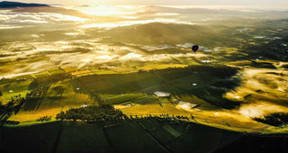 Yarra Valley diverse and Progressive