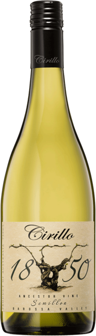 Cirillo 1850 Ancestor Vine Semillon 2021