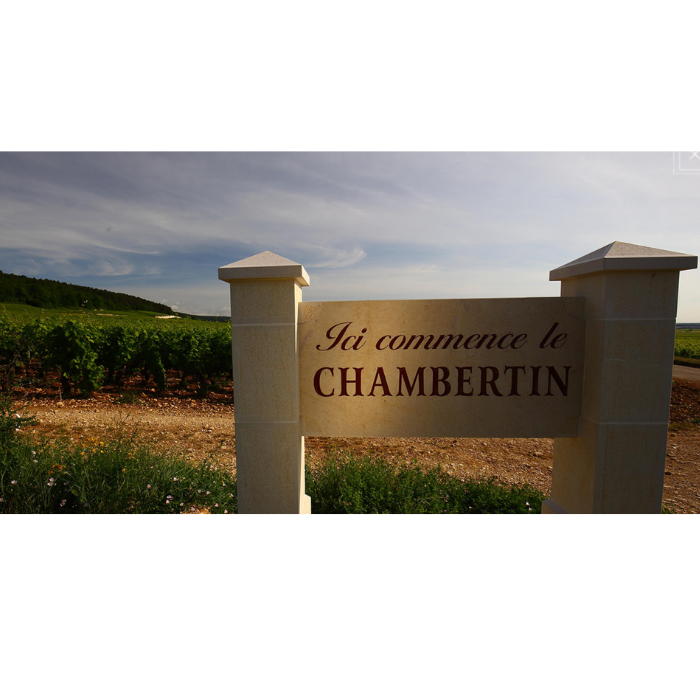 Domaine_Armand_Rousseau_Dinner_16th_July_2026_Sydney_6