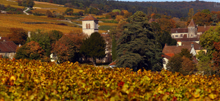 Domaine_Armand_Rousseau_Vineyards