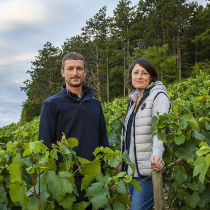 Domaine_Francois_Raveneau_Dinner_Wednesday_25th_February_2026_Sydney_6