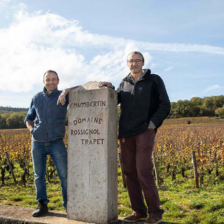 Dujac & Rossignol Trapet Masterclass Thursday 19th 2026 February Sydney 6.00pm - United Cellars