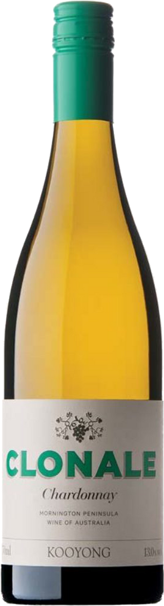 Kooyong Single Block Faultline Chardonnay 2021