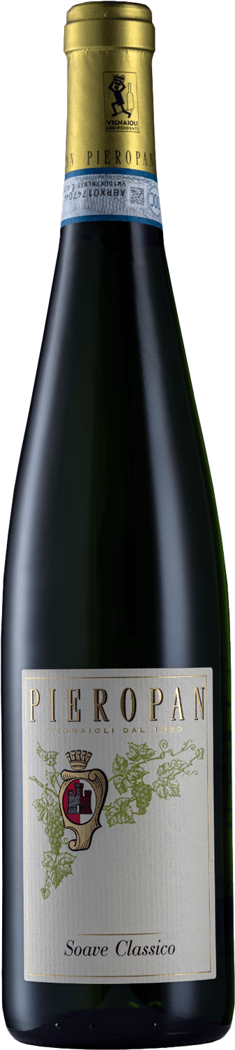 Pieropan Soave Classico DOC 2024 – United Cellars