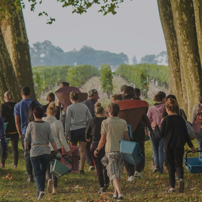 The_Bordeaux_Experience_Dinner_27th_August_2026_Perth_6