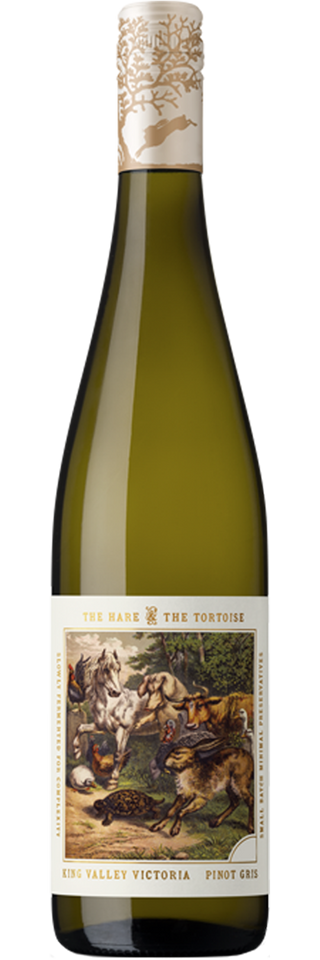 The Hare And The Tortoise Pinot Gris 2025