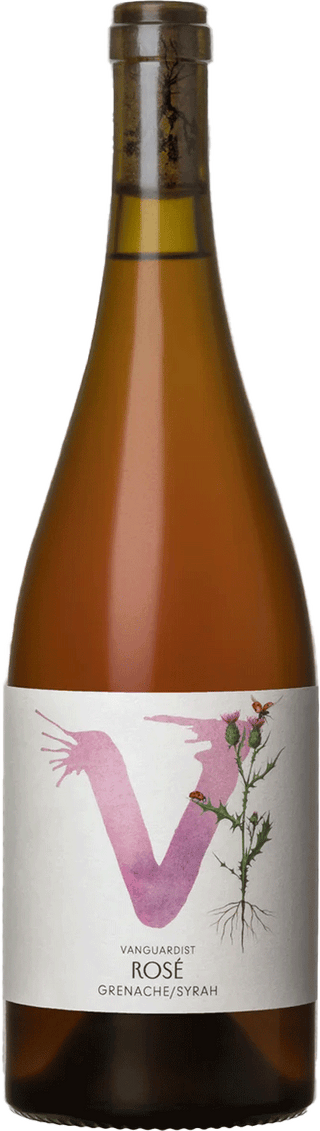 Vanguardist Blewitt Springs Rose 2025