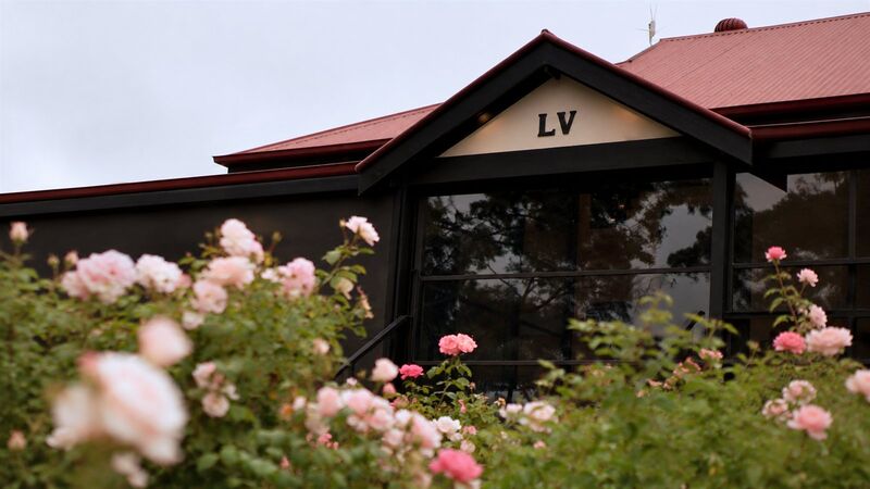 Longview Vineyard