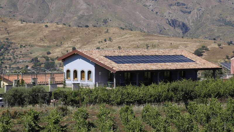 Tenuta delle Terre Nere