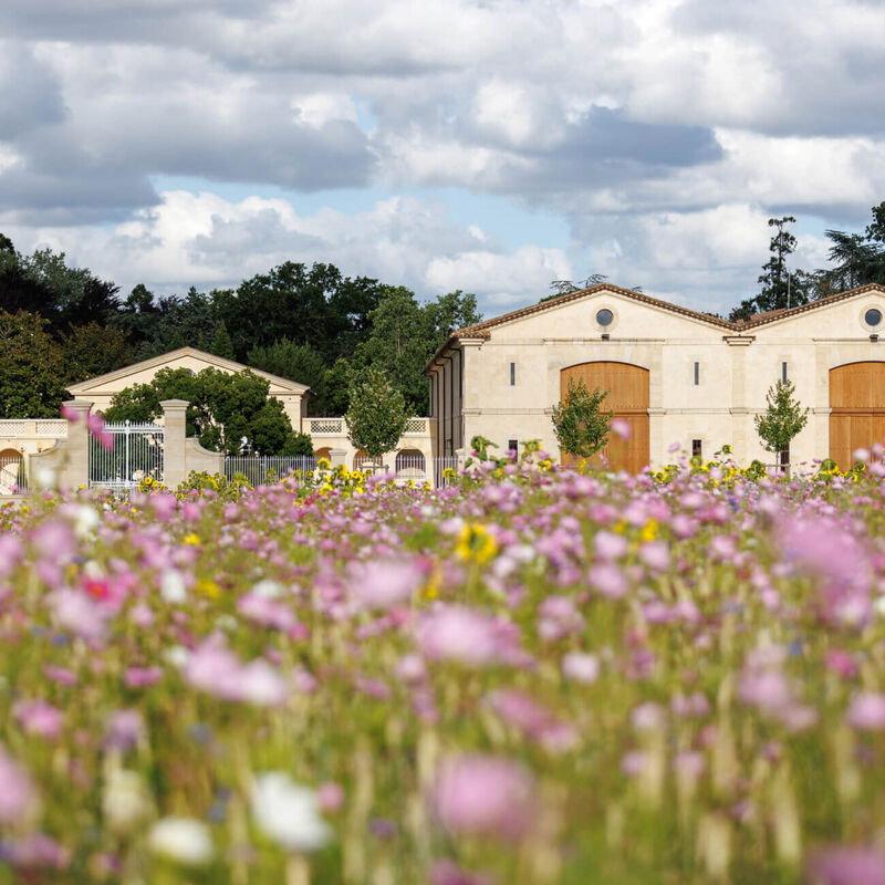 Chateau d'Armailhac