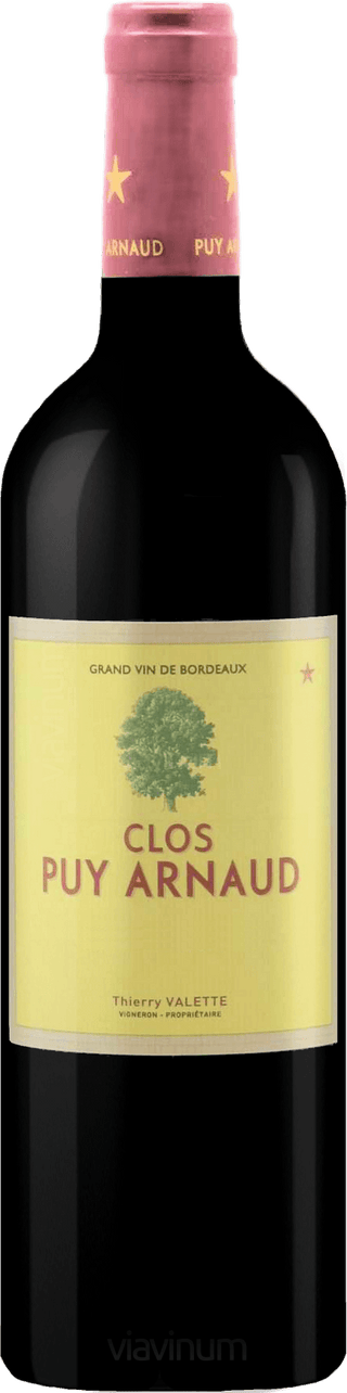 Chateau Clos Puy Arnaud 2020