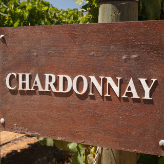 Chardonnay | Chablis Wine Dinner Brisbane February 19th 2025 6.30pm