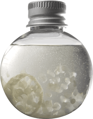 GINgle Bells Floral Gin Baubles (Set Of 6)