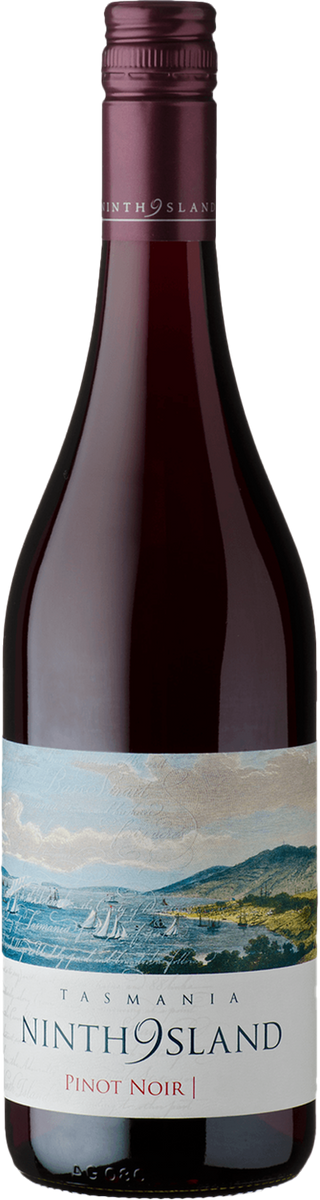 Pipers Brook Ninth Island Pinot Noir 2008 - United Cellars