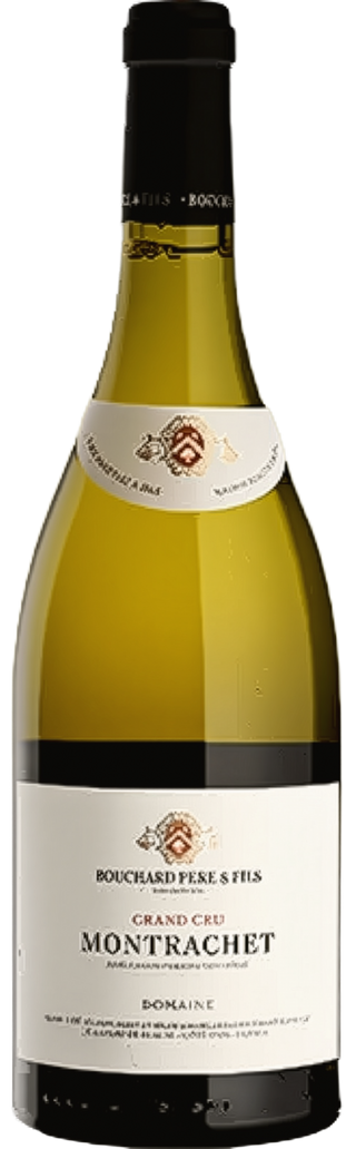 Domaine Bouchard Montrachet Grand Cru 2022