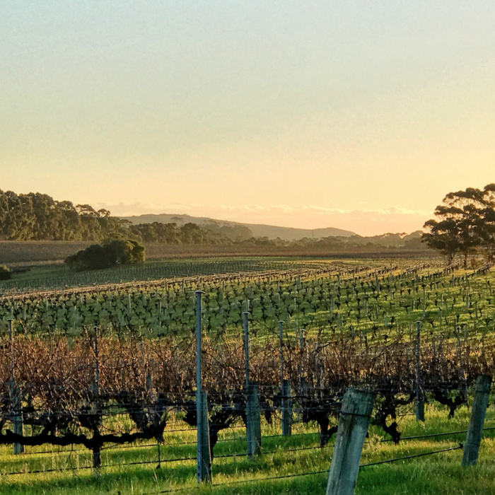 Leeuwin Estate Wine Dinner | Sydney | October 2nd 2025 6
