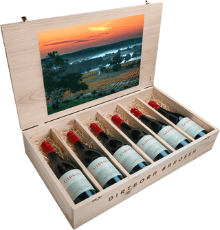 Gibson Burkes Hill 2021 Shiraz Cellar Pack - Limited Edition