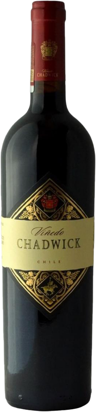 Vinedo Chadwick 2021 - United Cellars