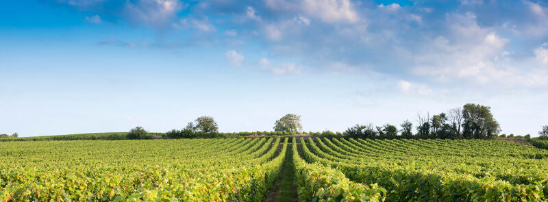 Loire Valley