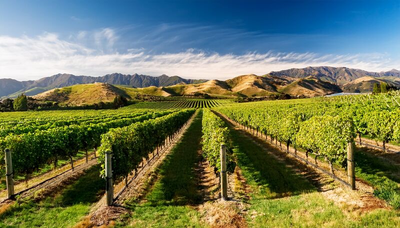Marlborough